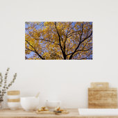Goldene Blätter im Herbst Baumposter Poster (Küche)