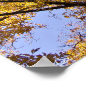 Goldene Blätter im Herbst Baumposter Poster (Ecke)