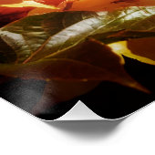 goldene Blätter im Wasser Poster (Ecke)