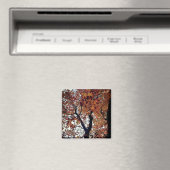 Goldene Blätter Magnet (In Situ (Geschirrspüler))