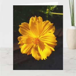 Goldene Blume Makrofotografie Karte