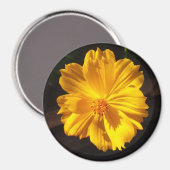 Goldene Blume Makrofotografie Magnet (Vorderseite/Rückseite)
