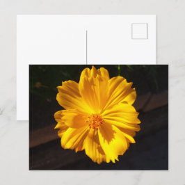 Goldene Blume Makrofotografie Postkarte