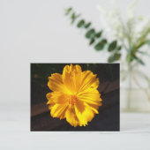 Goldene Blume Makrofotografie Postkarte (Stehend Vorderseite)