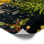 Goldene Blume und Schatten Poster (Ecke)