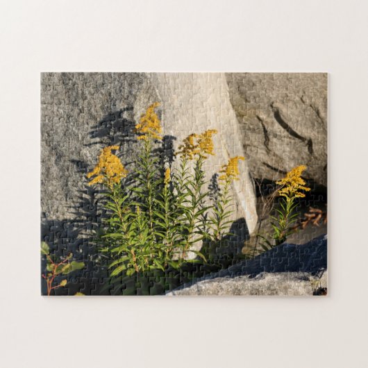 Goldene Blume und Schatten Puzzle (Horizontal)