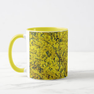 Goldene Blüten des Cytisus im Frühling Tasse