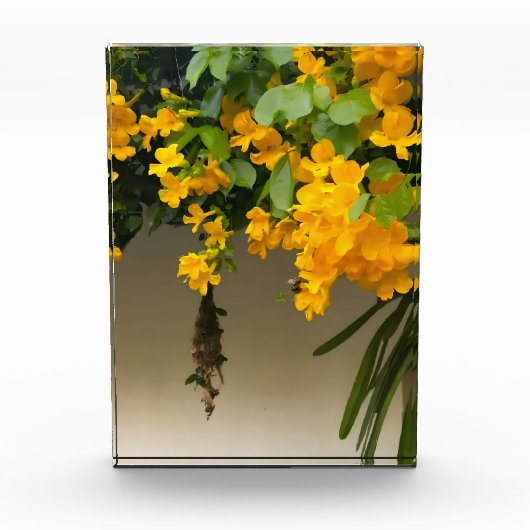 Goldene Blüten-Schönheit Fotoblock (Vorderseite)