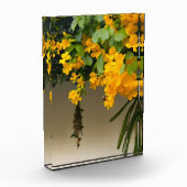Goldene Blüten-Schönheit Fotoblock (Links)