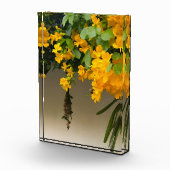 Goldene Blüten-Schönheit Fotoblock (Rechts)