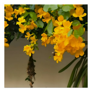 Goldene Blüten-Schönheit Poster