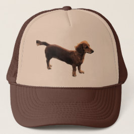 Goldene Dackel Truckerkappe