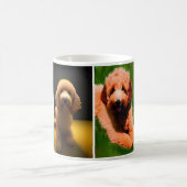 Goldene Doodle-Liebhaber mit 4 niedlichen Bildern Kaffeetasse (Mittel)