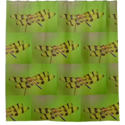 Goldene Dragonfly Duschvorhang (Vorderseite)