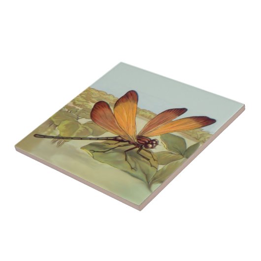Goldene Dragonfly Fliese (Seite)