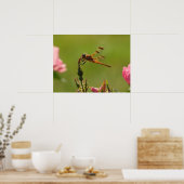 Goldene Dragonfly Poster (Küche)