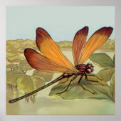 Goldene Dragonfly Poster (Vorne)