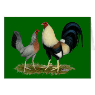 Goldene Duckwing Hühner