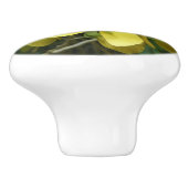 Goldene Dusche Tropengelbe Blüte Keramikknauf (Seitenansicht)