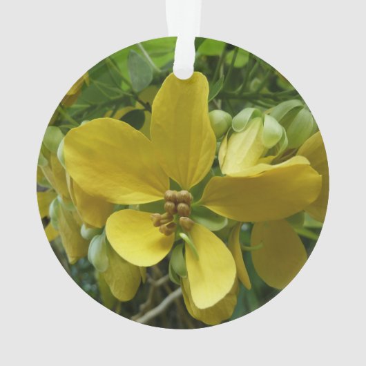 Goldene Dusche Tropengelbe Blüte Ornament (Rückseite)