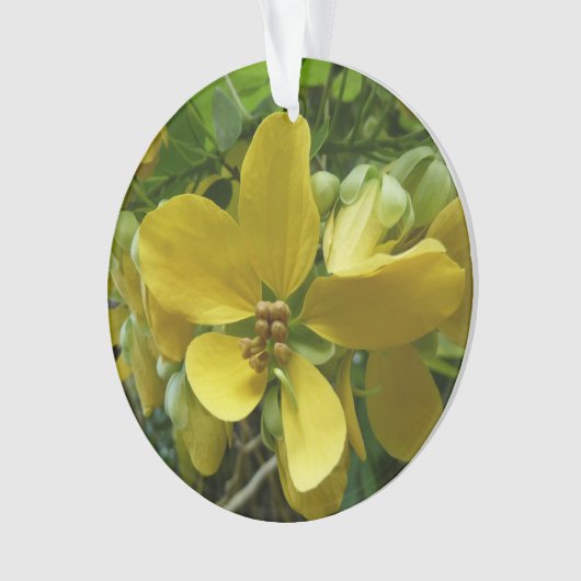 Goldene Dusche Tropengelbe Blüte Ornament (Vorderseite)