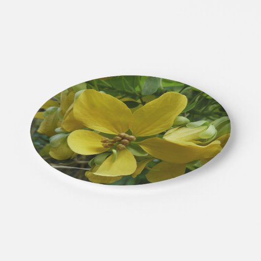 Goldene Dusche Tropengelbe Blüte Pappteller (Schrägansicht)