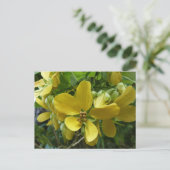 Goldene Dusche Tropengelbe Blüte Postkarte (Stehend Vorderseite)