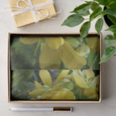 Goldene Dusche Tropengelbe Blüte Seidenpapier (Geschenk)