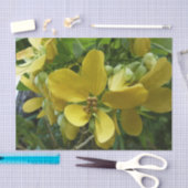 Goldene Dusche Tropengelbe Blüte Seidenpapier (Handwerk)