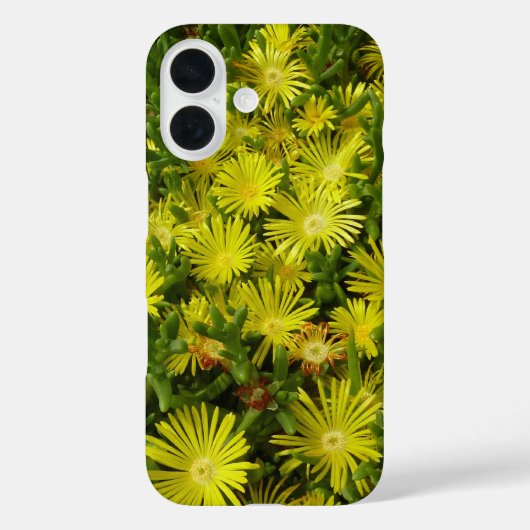 Goldene Eispflanze Gelbe Blumen Case-Mate iPhone Hülle (Rückseite)