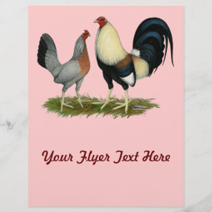 Goldene Enckwing Chickens Flyer