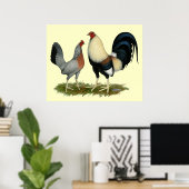 Goldene Enckwing Chickens Poster (Heimbüro)