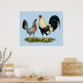 Goldene Enckwing Chickens Poster (Küche)