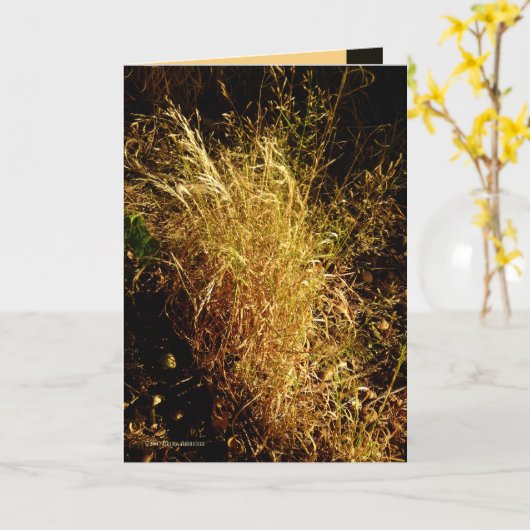 Goldene Ernte Karte (Gelbe Blume)