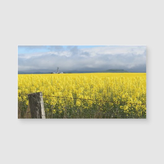 Goldene Ernte Magnetkarte (Vorderseite)