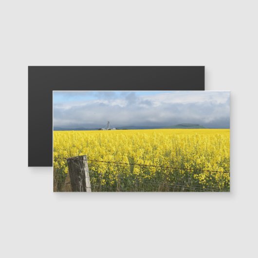 Goldene Ernte Magnetkarte (Vorne/Hinten)