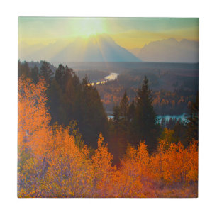 Goldene Espen oberhalb des Snake River bei Sonnenu Fliese