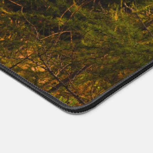 Goldene europäische Lärche in Herbstfarben Schreibtischunterlage (Ecke)