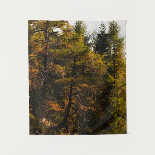 Goldene europäische Lärche in Herbstfarben Wandteppich (Vorderseite)