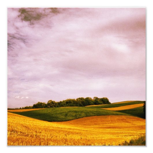 Goldene Farmland Fotodruck (Vorne)