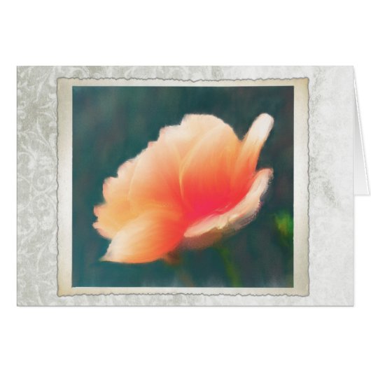 Goldene Feier Rose (Vorderseite (Horizontal))