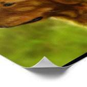 Goldene Felder Poster (Ecke)