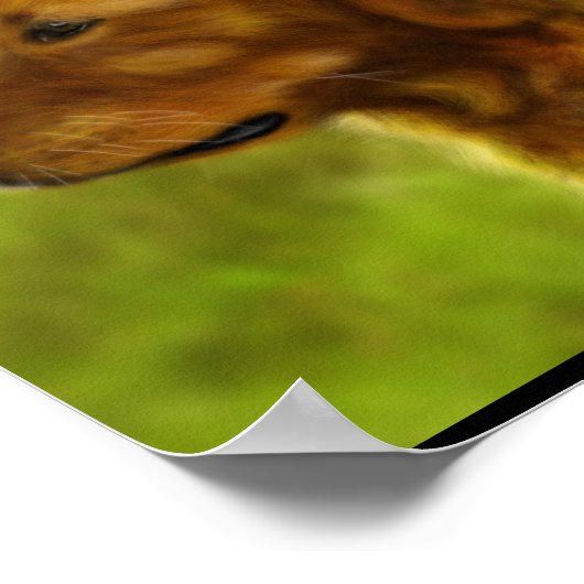 Goldene Felder Poster (Ecke)