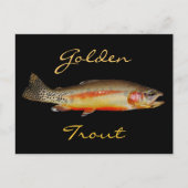 Goldene Forelle, OstSierra, Postcard Postkarte (Vorderseite)