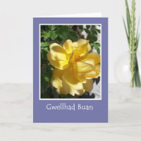 Goldene Gelbe Rose erhält gute Karte, walisischer