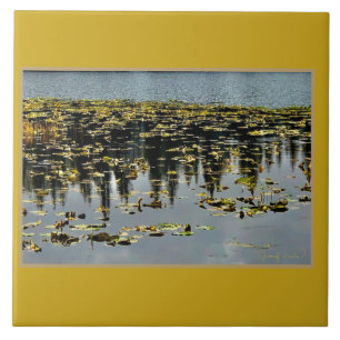 Goldene Gewässer Fliese