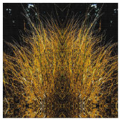 goldene Grasarten Stoff (Nahaufnahme)