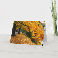 Goldene Herbstbäume