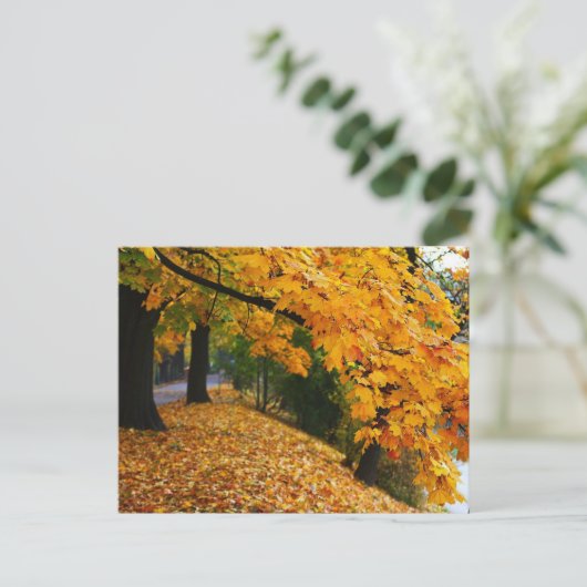 Goldene Herbstbäume Postkarte (Stehend Vorderseite)