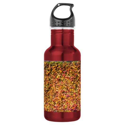 Goldene Herbstfarben Efeu Wand Edelstahlflasche (Vorderseite)